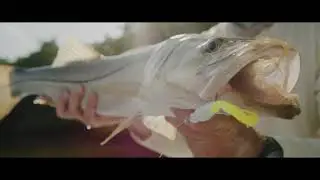 Berkley Gulp! Swimming Mullet Soft Bait: The Ultimate Saltwater Bait