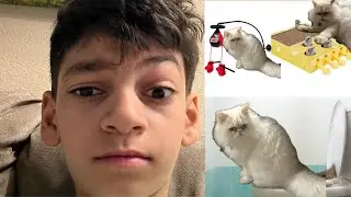 I bought the weirdest cat toys at PetSmart!￼