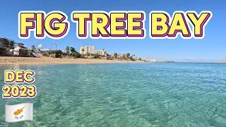 The BEST BEACH in Cyprus on Christmas Eve