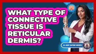 What Type of Connective Tissue Is Reticular Dermis?