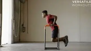 Sunny Health & Fitness High Weight Capacity Adjustable Dip Stand&nbsp;