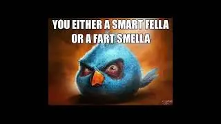 Are you a smart fella, or a fart smella?
