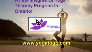 A Few Insights Of Yoga Therapy Program In Ontario!