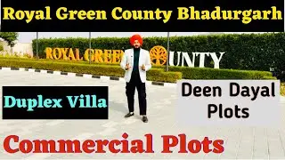 Royal Green County Bhadurgarh | Deen Dayal Plots , Commercial Plots and Villas #plots #delhincr #yt 