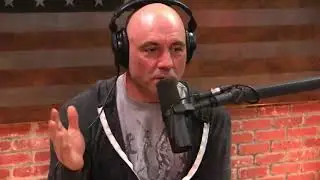 Joe Rogan on The Second Amendment