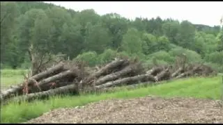 The Gales Creek Project - Bobby Cochran