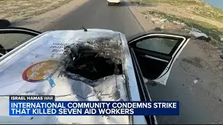 Foreign nationals among food aid workers killed in Israeli attack