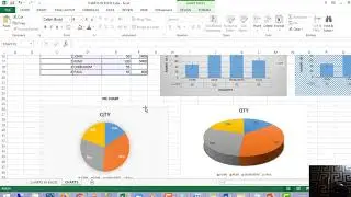 EXCEL CHARTS & GRAPHS LEARN THE BASICS AND ADVANCED