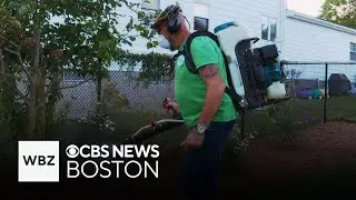 How families in New England are trying to protect themselves from EEE
