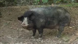 Conoce la Granja Escuela Casavieja