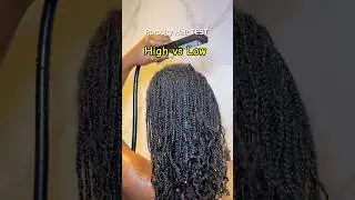 HIGH vs LOW Porosity Hair TEST‼️ WHATS YOUR HAIR POROSITY ❌