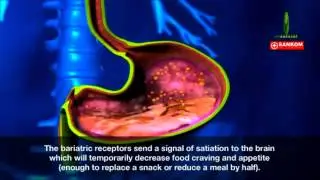 How SANKOM&reg; Swiss Diet Kit&trade; Works
