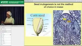 Next Generation Mutagenesis (NextGEM)......