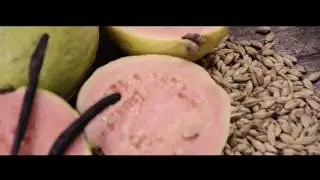 Guavanilla Sour | Cervejaria Baldhead &bull; Porto Alegre/RS