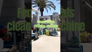 Fennel seeds cleaning machine Remove dust from grass sticks and unfilled particles！ #Fennelseeds