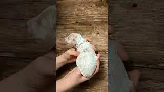 2-Week-Old Baby Mini Goldendoodles!