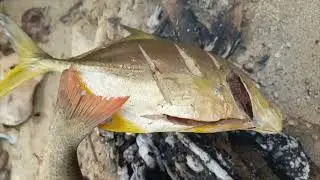 Melengkung Tajam! Casting Ultralight Karang Dangkal Dihajar Babon GT
