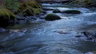🌊 Smooth River Water's Flow, Continuous White Noise, Calm Nature Sounds