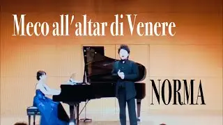 Norma, Act 1: 