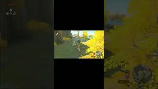 Shield block reset trick in tears of the kingdom!?!? #shorts #zelda