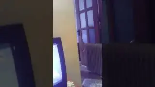 O zi de ras 2
