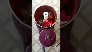 Pandu mirapakaya nilva pachadi recipe 😋