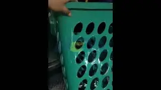 Laundry Basket Mould: Plastic laundry basket injection mould for housework #laundrybasketmoulding