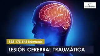 LESI&Oacute;N CEREBRAL TRAUM&Aacute;TICA