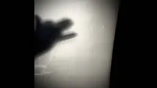 Ray Flanagan - Wolf Outside My Door haunted music video!