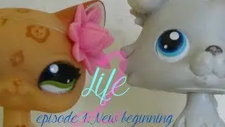 Life ep 1 saison 2||《 New beginning 》