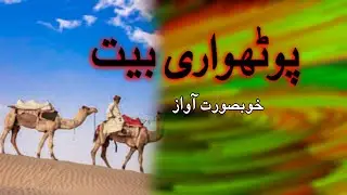 Pothwari Bait || Pothwari Sher Bait || New Sher Khwani | POTHWARI MUSIC 2022