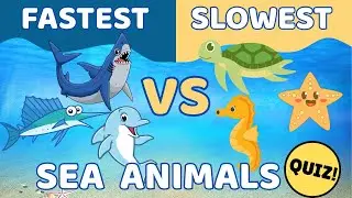 Top 10 Fastest AND Slowest Sea Animals + Fun Quiz! Can YOU Guess Who Wins? | Fun Educational Video