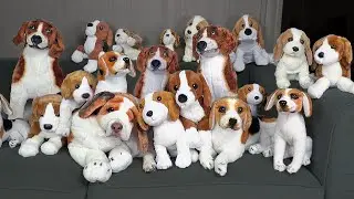 Can You Find the Real Dog? Funny Dog Maymo vs Fake Dogs Challenge