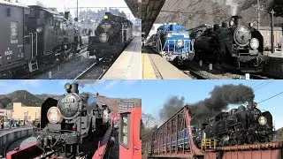 【真岡鐡道から譲受したC11-325営業運転開始！SL2機体制での運行に】東武鉄道 SL大樹 2・3・4・5号 2020.12.27【4K】