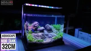 #242 Membuat Aquascape tanpa injeksi co2 dan filter