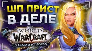 ВАНШОТ БИЛД ШП в ДЕЛЕ! ПАТЧ 9.1! Shadowlands ● РЭЙВИС