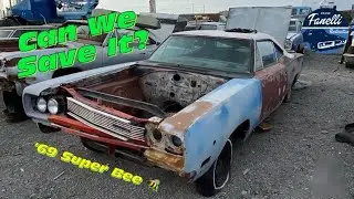 Брошенный Dodge Super Bee 1969 года | Мы его купили?!