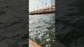 #boat video 🚢in🇦🇪
