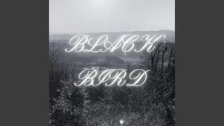 BLACKBIRD