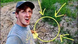 Cracked and Dry Soil Gardening HACK!