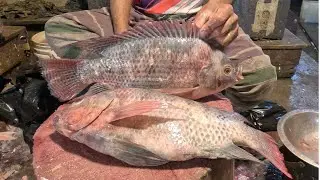 Satisfying Tilapia Fish Cutting Skills &ndash; Fast & Precise!