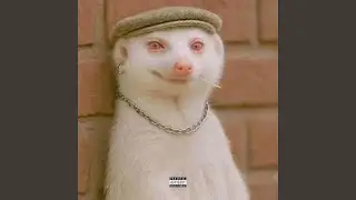 So Fresh So Clean