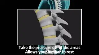 2024 Back Pain Relief Inflatable Decompression Back Belt #foryou  #sciatica #chiropractic #backpain