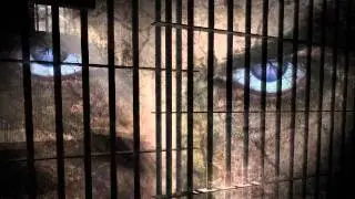 Claire DeWitt and the City of the Dead by Sara Gran Book Trailer