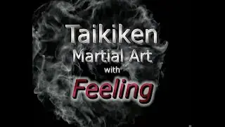 Taikiken History 4K, Kenichi Sawai's dynamic way of Taiki practice and fighting, By Roland Nansink