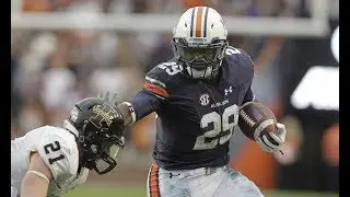 Jovon Robinson Clips (All snaps at AU)