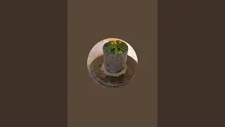 झिणेश्वर महादेव धाम  लाइव है!
