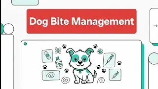 Dog Bite Management | Anti Rabies Vaccine | ARV | Yourmedicalofficer