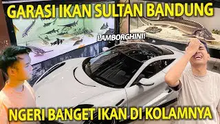 GARASI IKAN SULTAN BANDUNG! ADA LAMBORGHINI! IKAN DI KOLAMNYA MAHAL-MAHAL BANGET! KEVIN FISH GALLERY