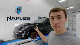 2017 Cadillac CTS-V Carbon Series VLOG | Paint Restoration and Protection | Naples Auto Armour